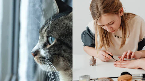 How Similar are Cat Eyes and French Cat Eye Manicures?