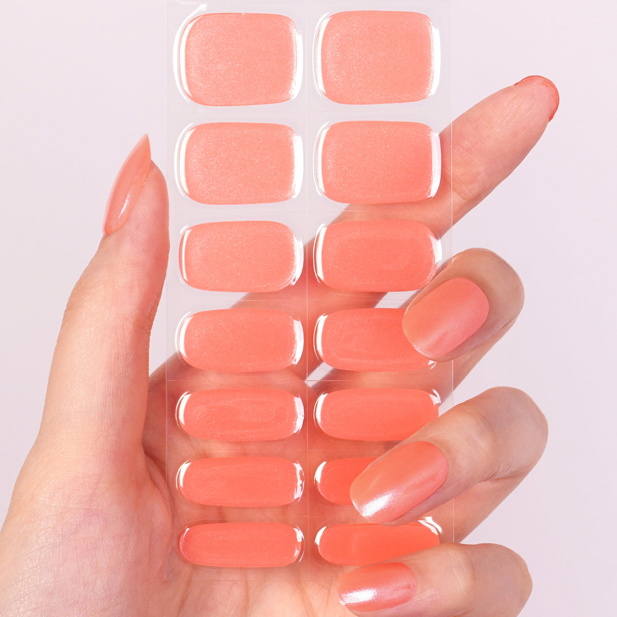 CoralGlow-2987