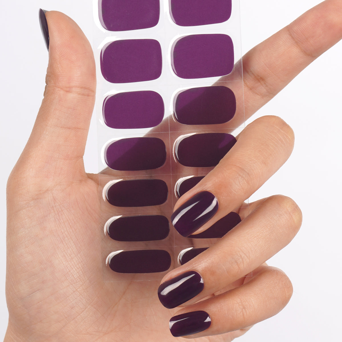 Midnight Violet - 2578