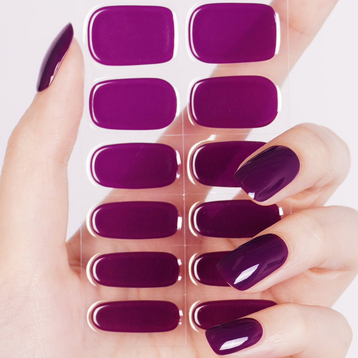 Plum Veil-2995