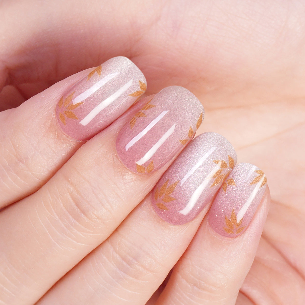 Maple Luster-3006