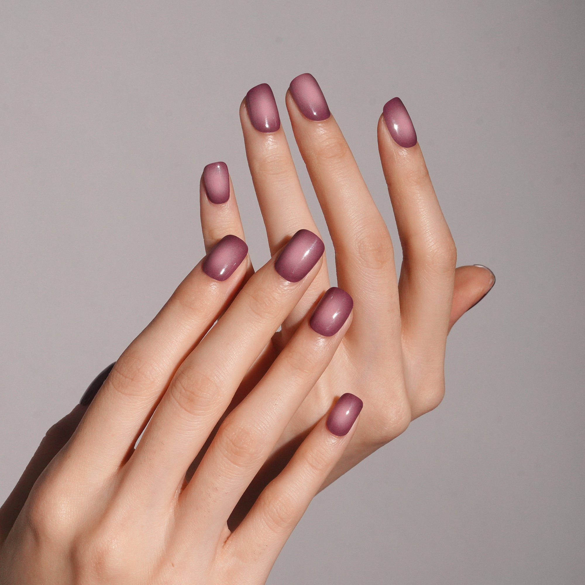 Soft Mauve Plum Gel Nail Strips | Plum Mist-2837