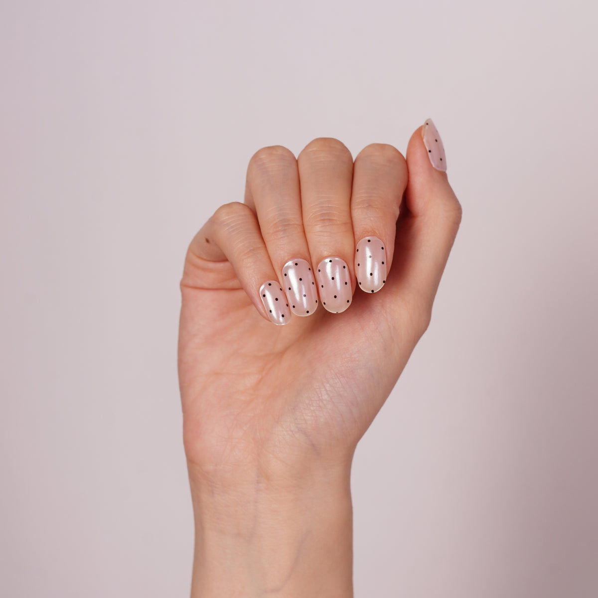Dot Chic-2992