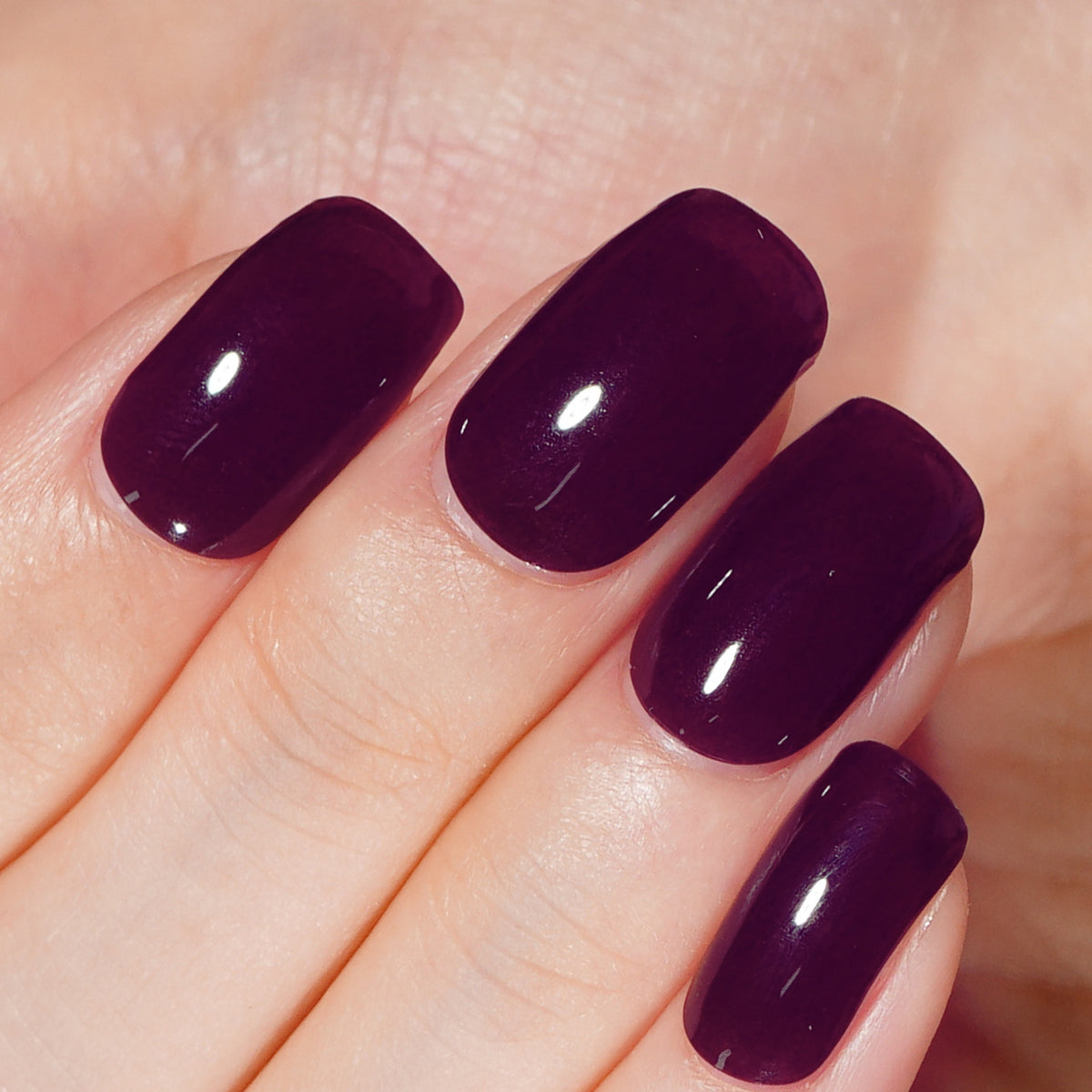 Midnight Violet - 2578