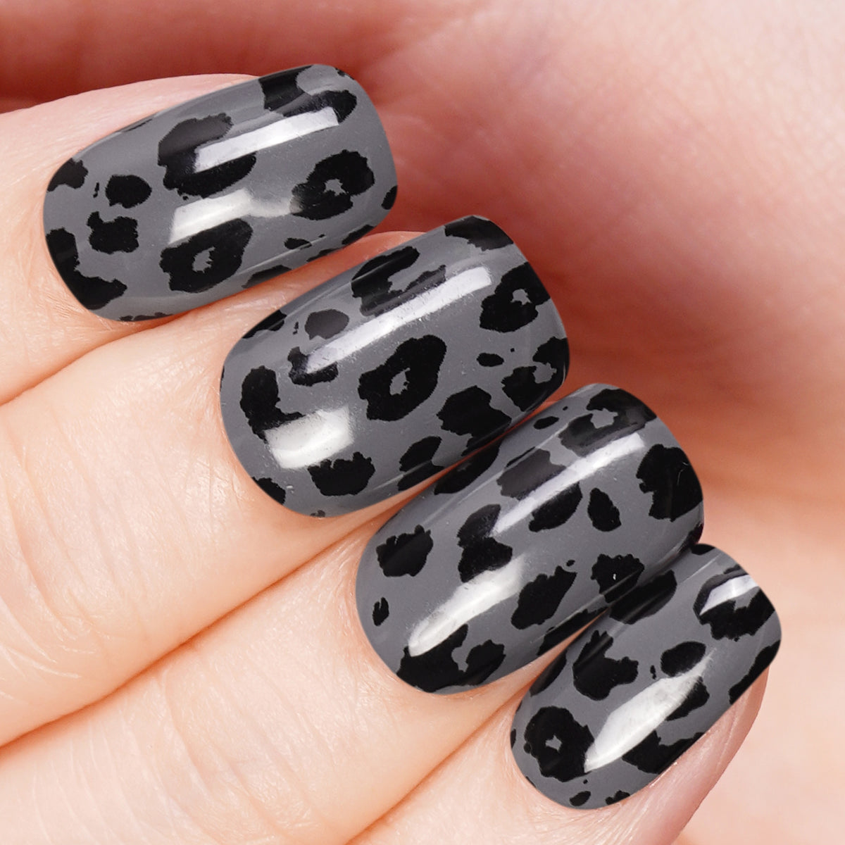 Dusk Leopard-3001