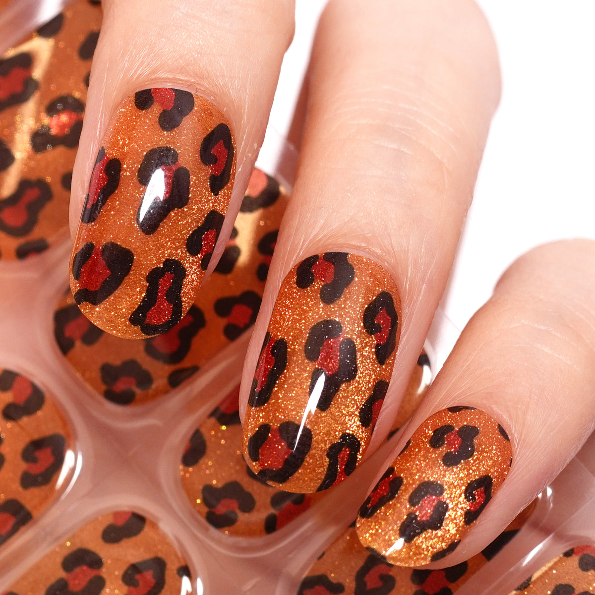 Leopard Kiss-2986