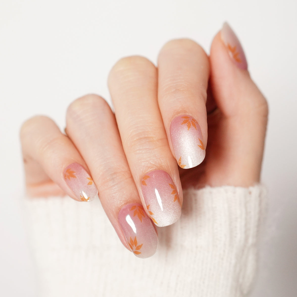 Maple Luster-3006