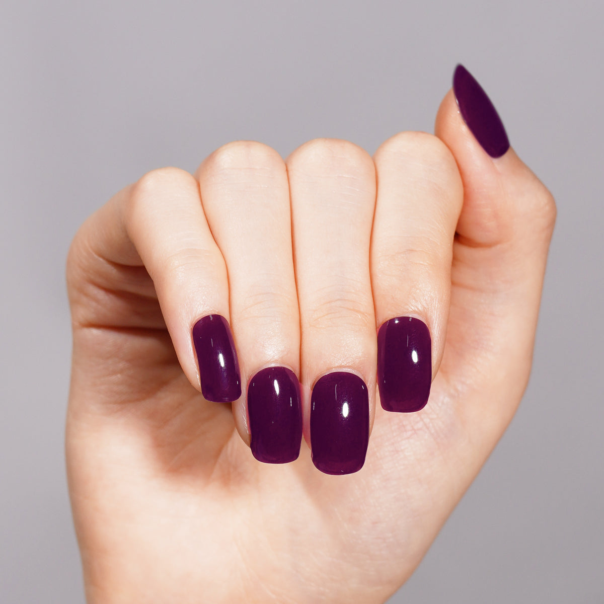 Midnight Violet - 2578