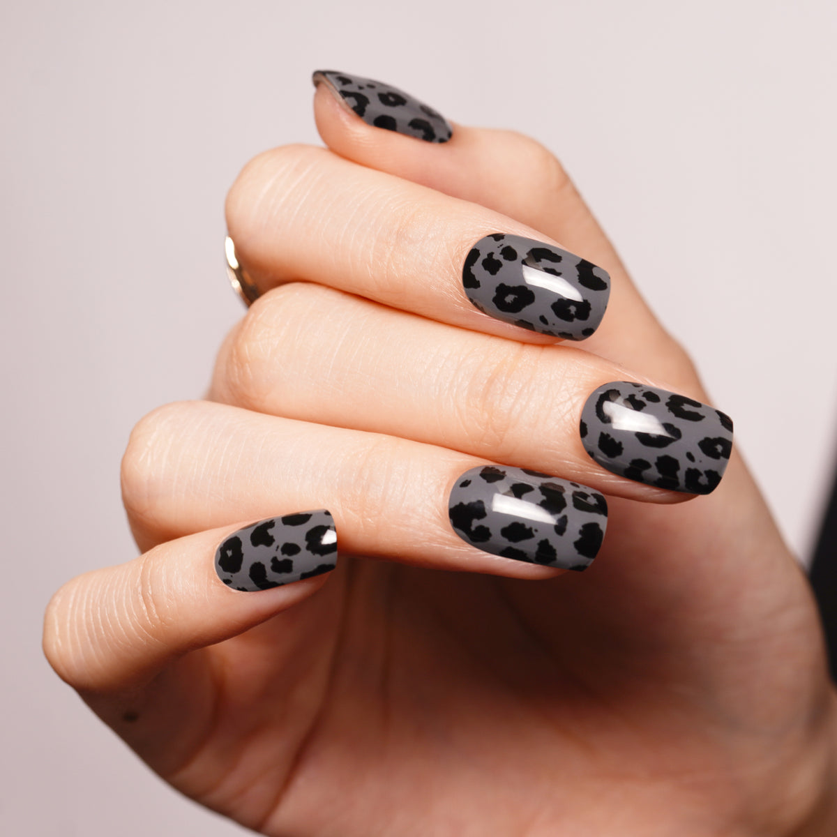 Dusk Leopard-3001