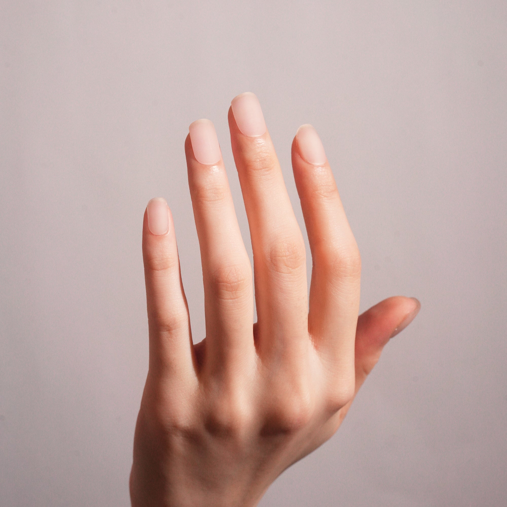 Sheer Nude Gel Nail Strips for a Natural, Elegant Look | Velvet Clear-2858