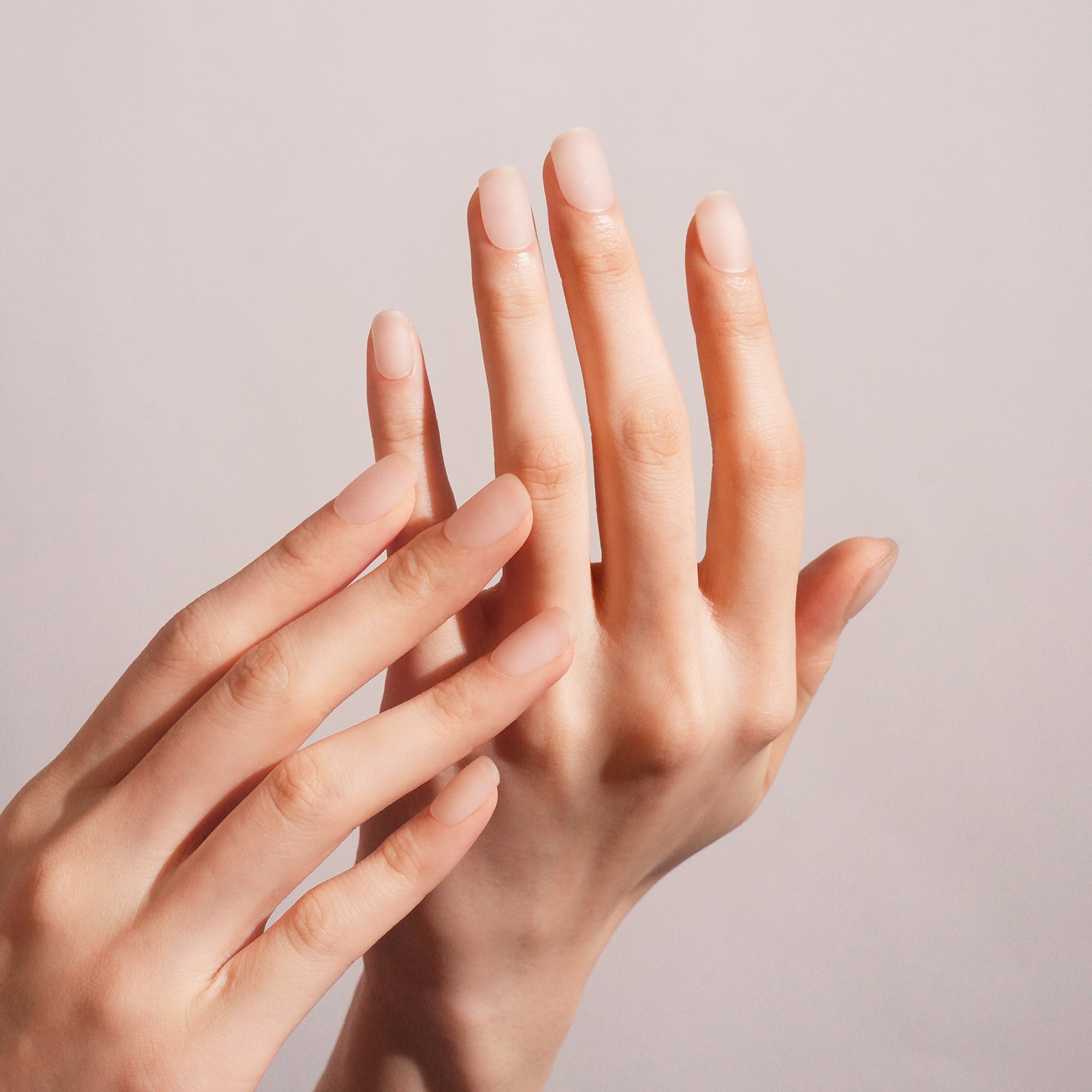 Sheer Nude Gel Nail Strips for a Natural, Elegant Look | Velvet Clear-2858