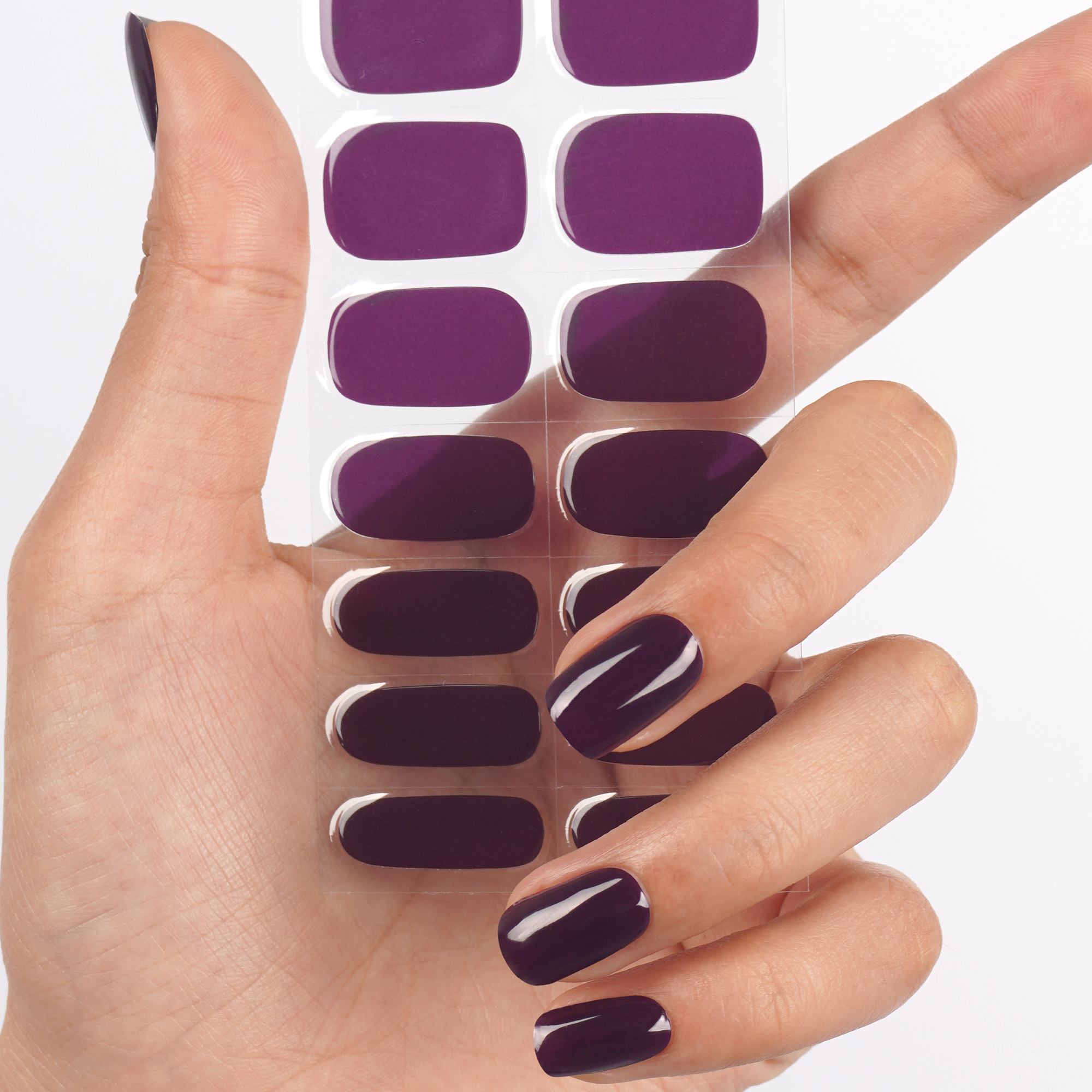 Midnight Violet - 2578