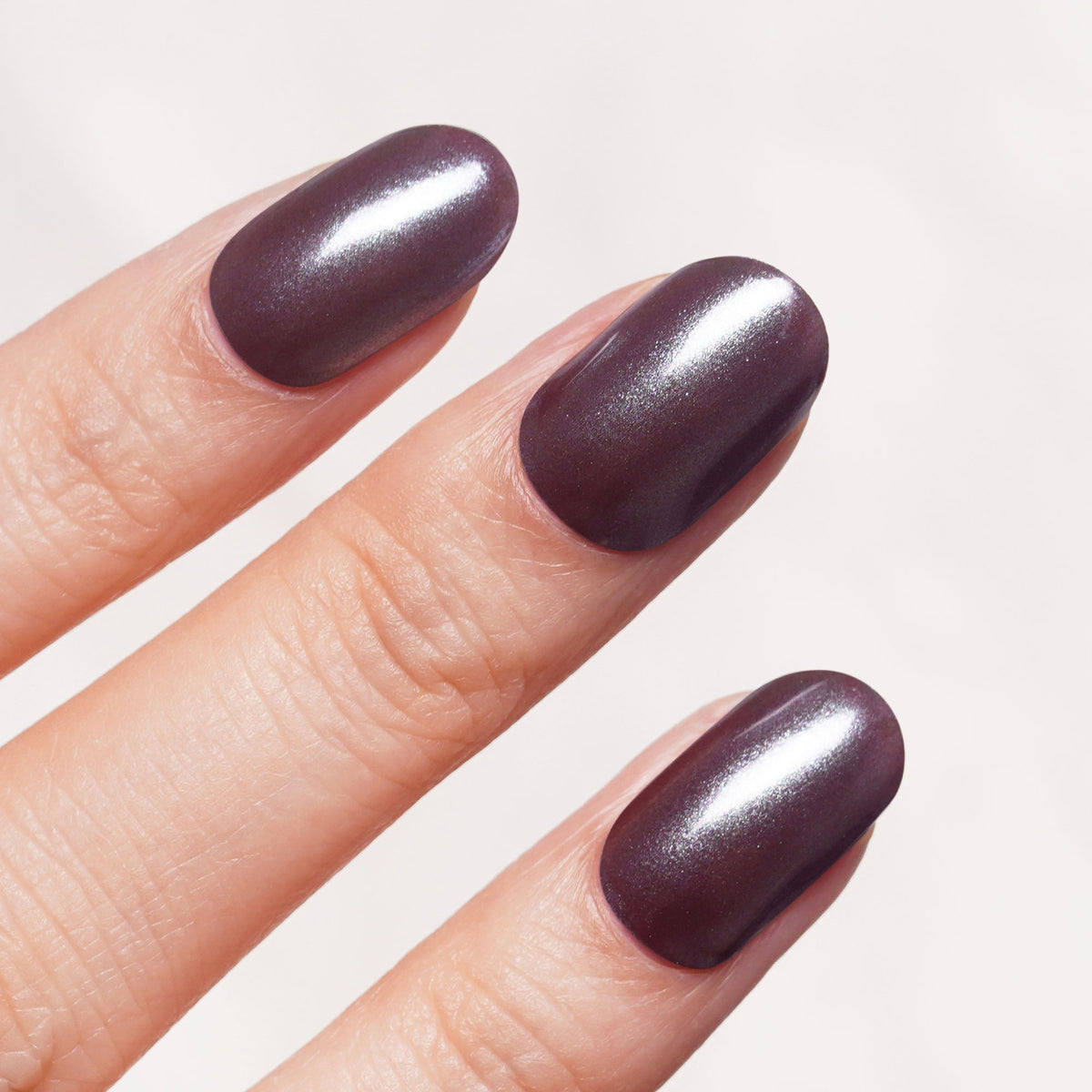 Taupe Aurora-2988
