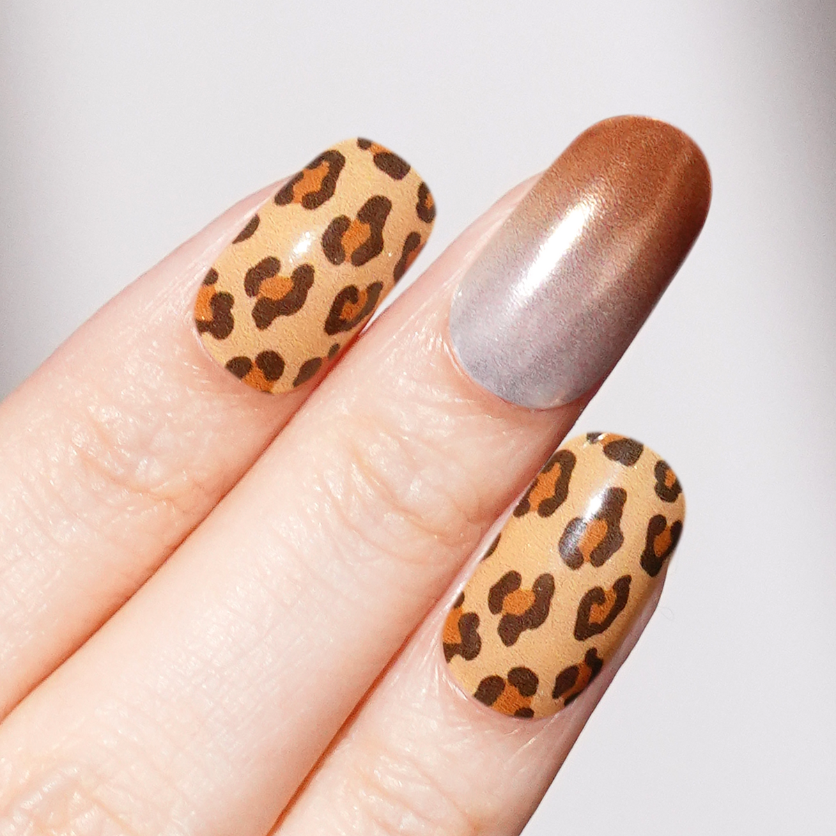 Leopard Luxe-2996