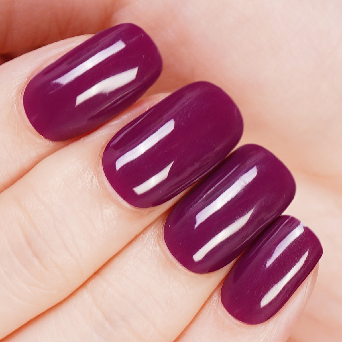 Plum Veil-2995