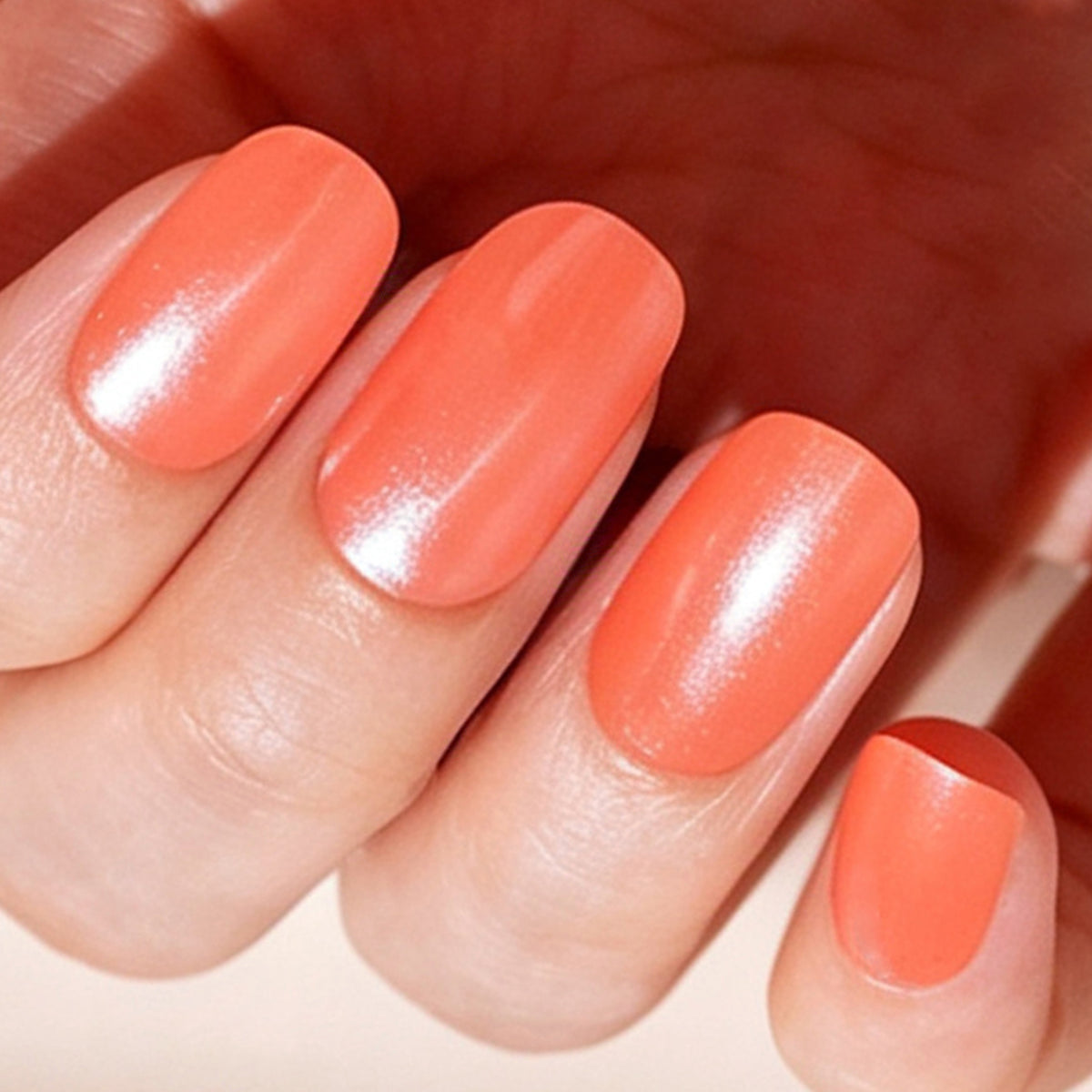 CoralGlow-2987