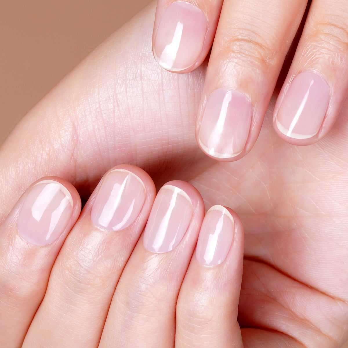 Insta Sheer-3021 | No UV Lamp Needed