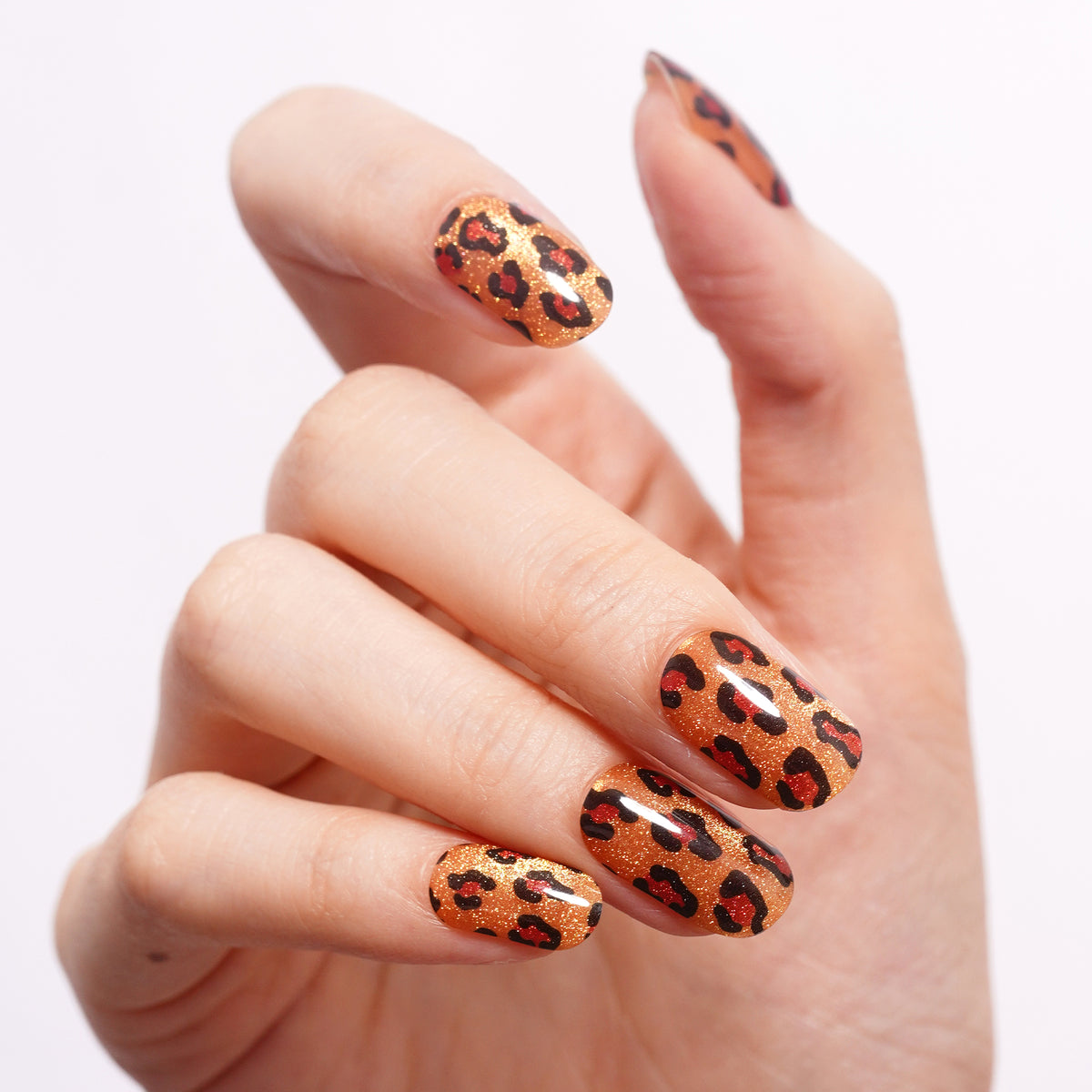 Leopard Kiss-2986
