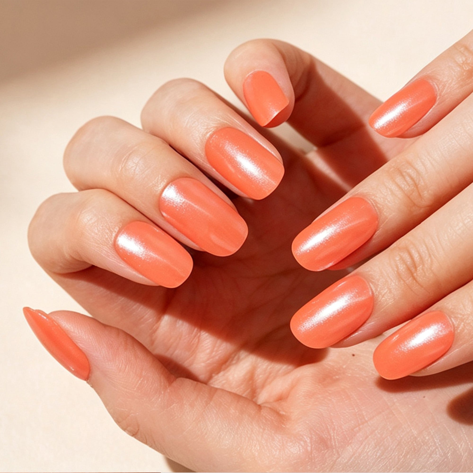 CoralGlow-2987