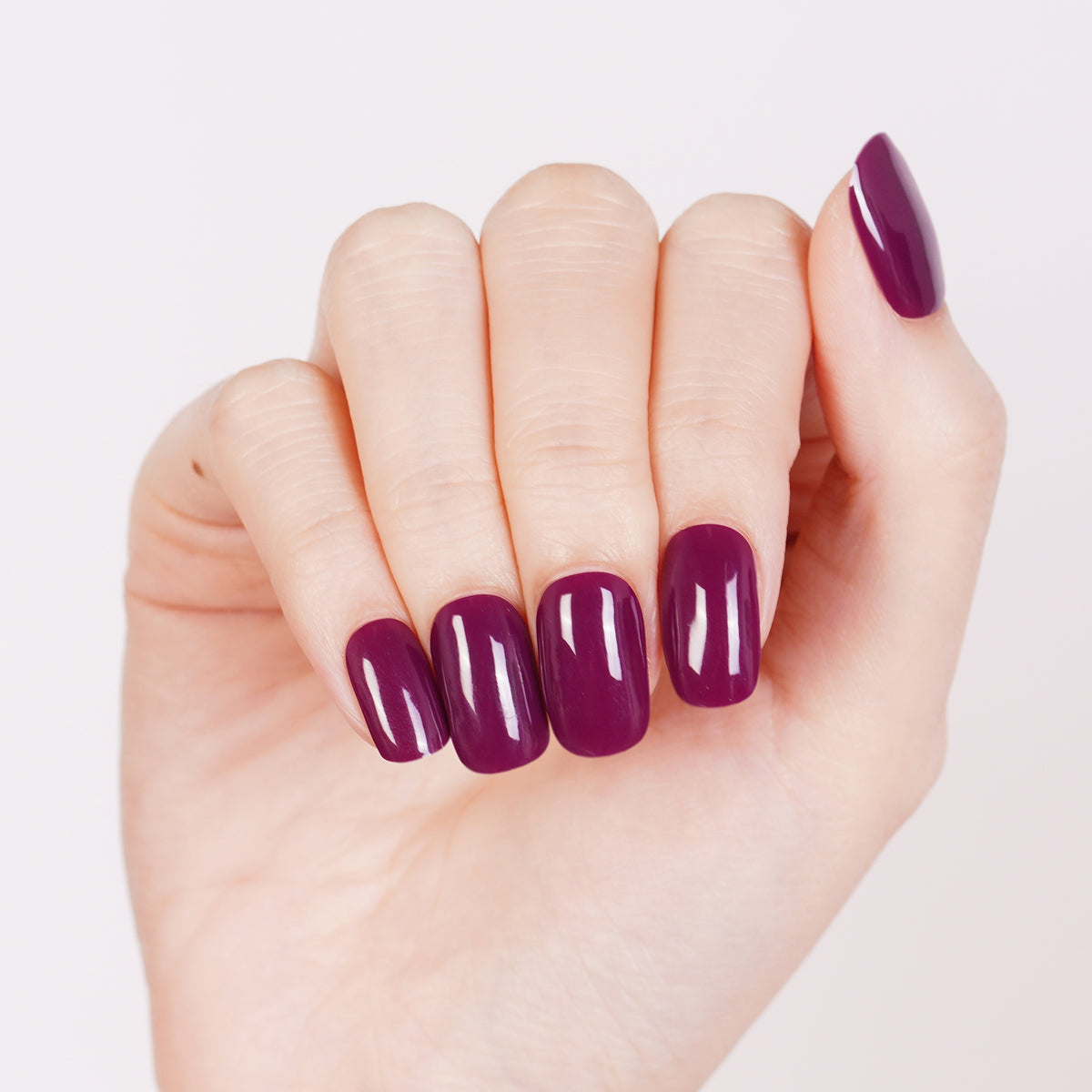 Plum Veil-2995