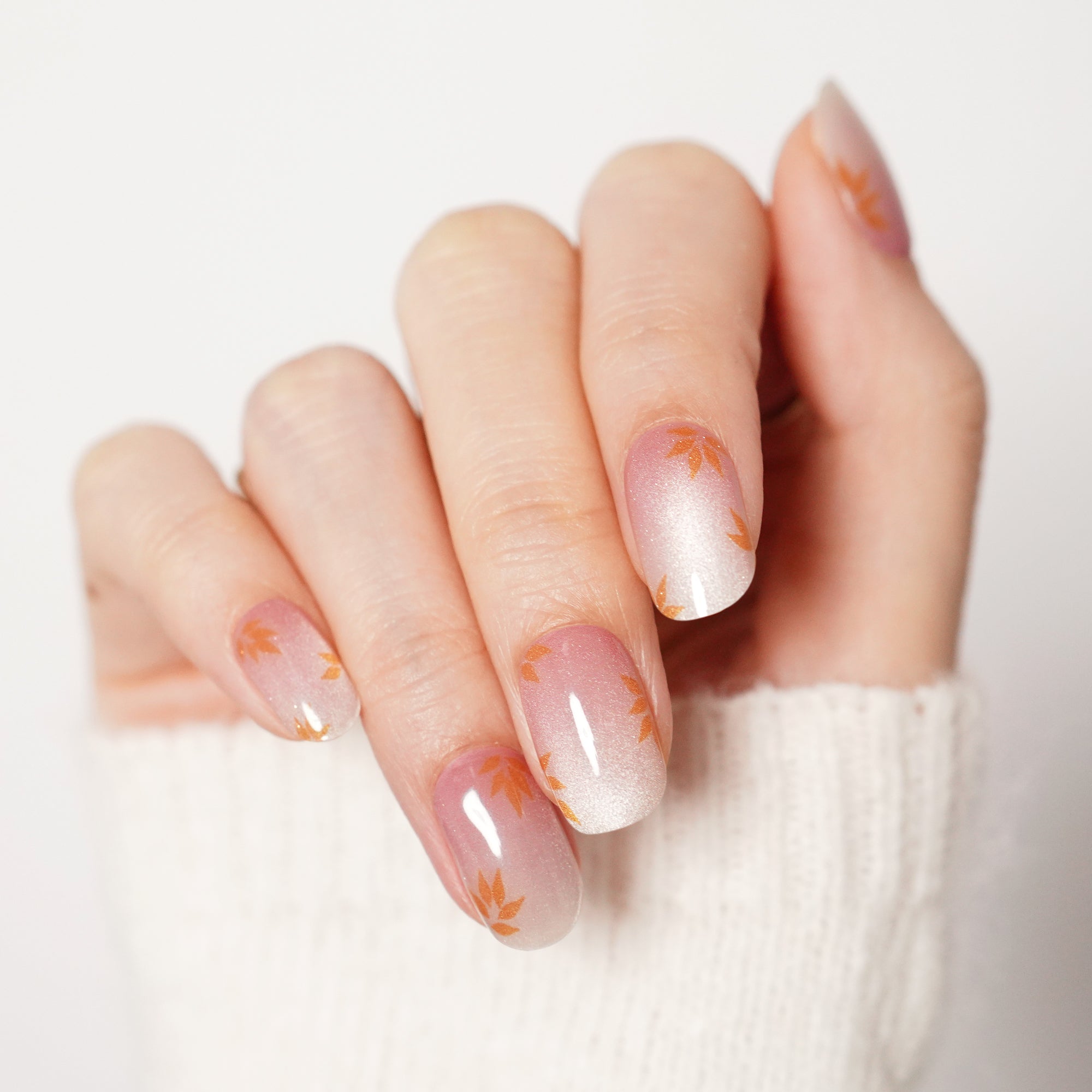 Maple Luster-3006