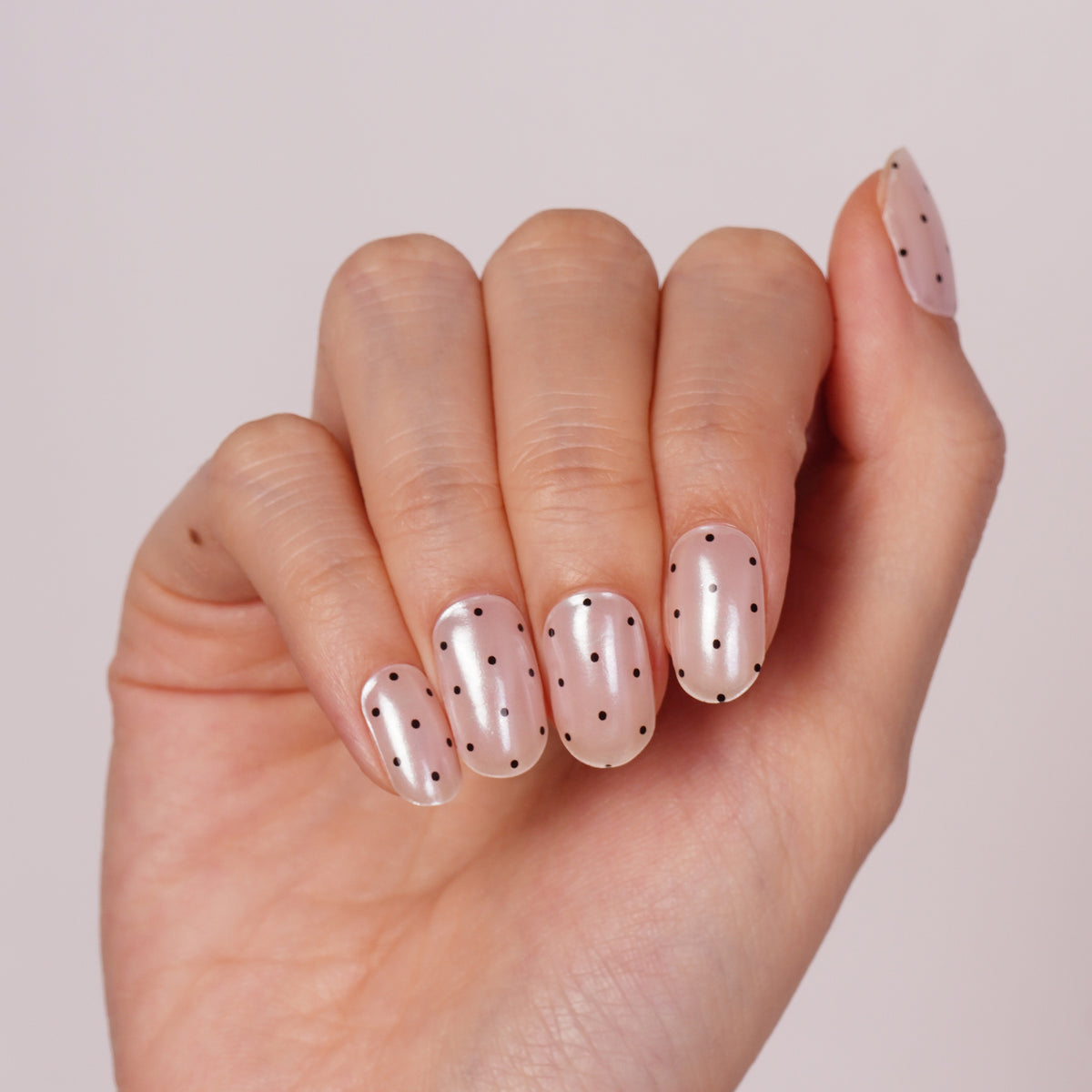 Dot Chic-2992