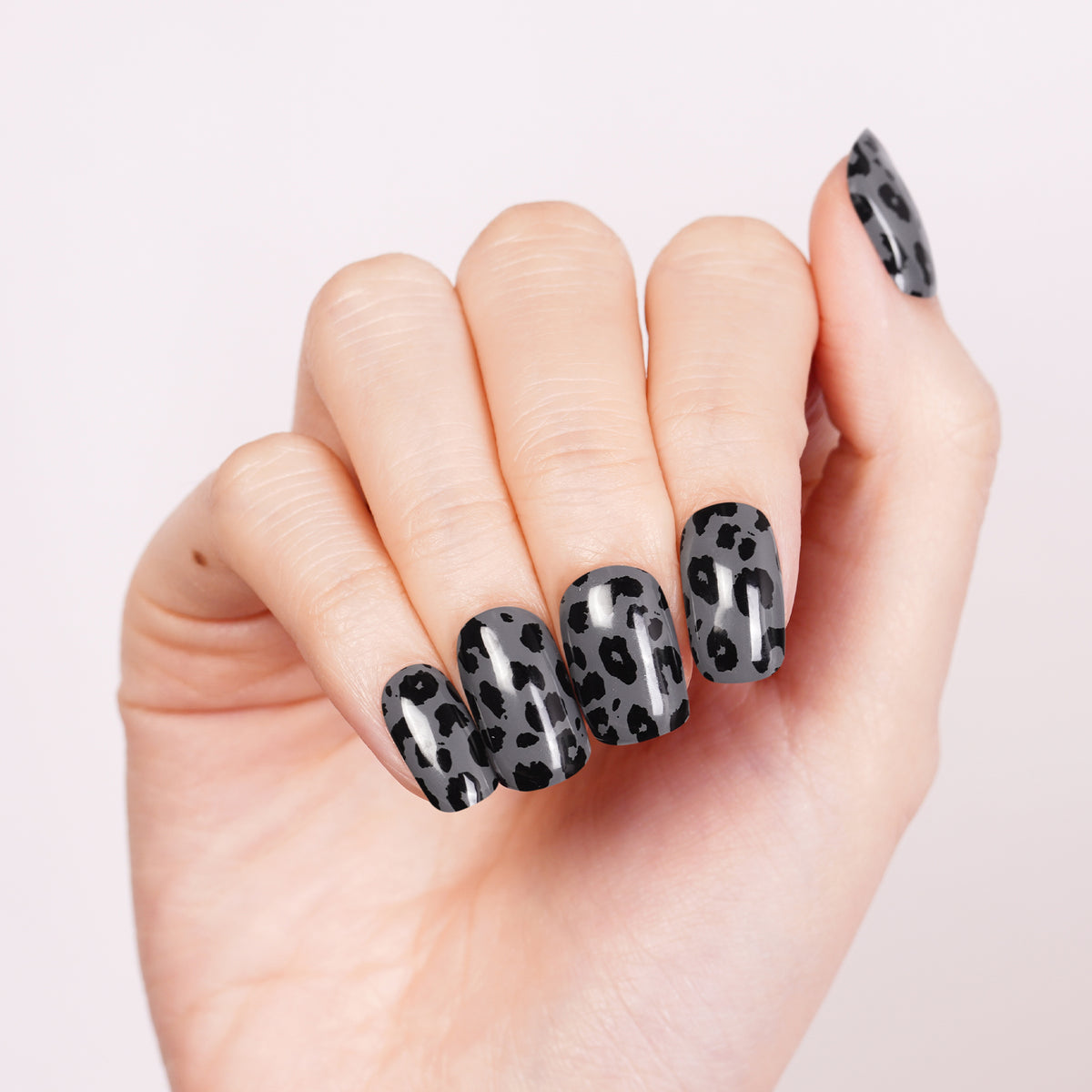 Dusk Leopard-3001