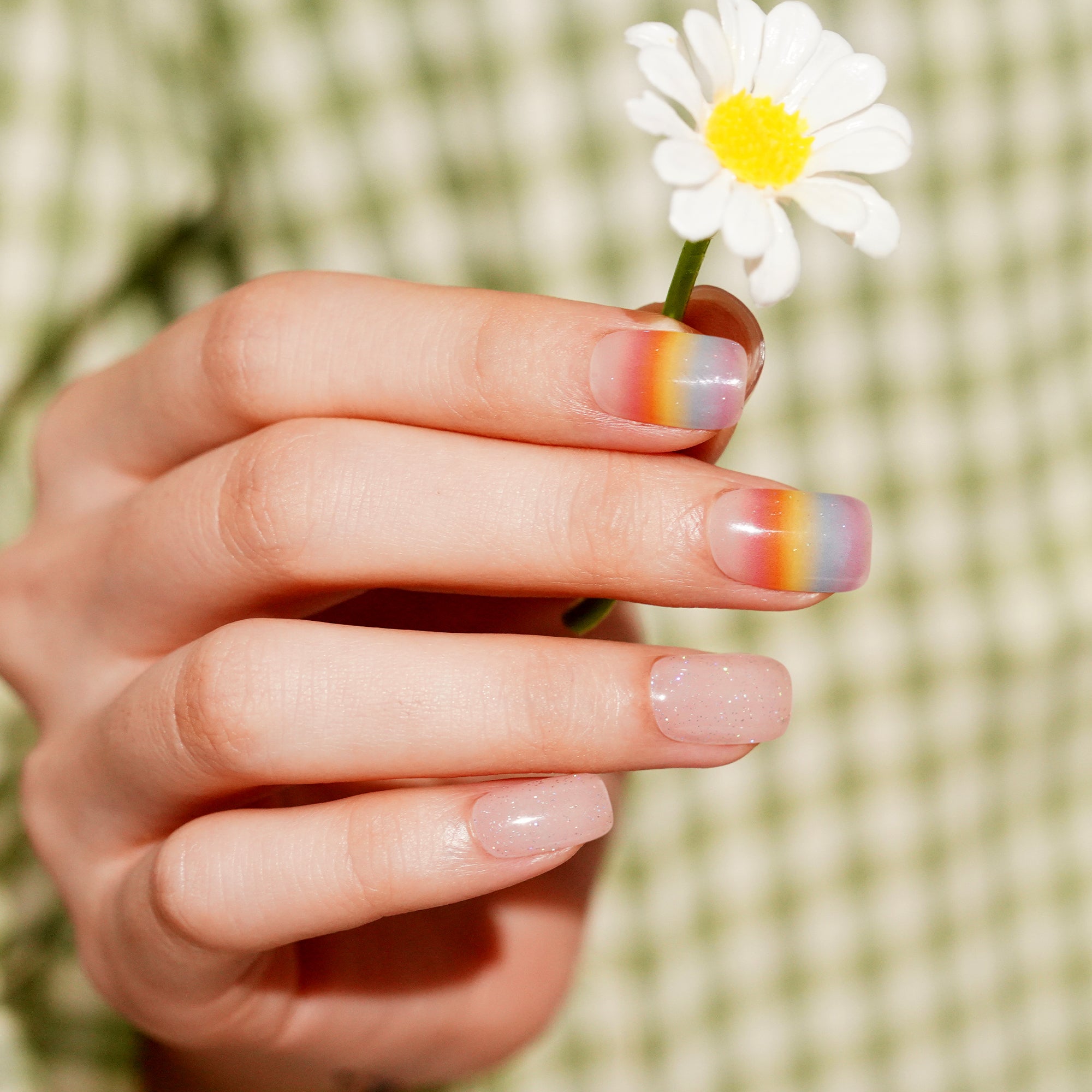 Sheer Iris-Inspired Gel Nail Strips with a Soft, Dreamy Shine | Iris Veil-2862