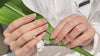 Green Bamboo Gel Nail Stickers, semi cured gel nails | Bamboo Grove | Danni & Toni 